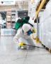 Emergency Pest Control London 24Into7 pest control in London