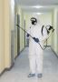 Expert Pest Control in London – Fast & Reliable Service