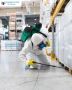 Emergency Pest Control London – 24/7 Rapid Response 