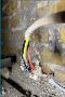 Best Rewiring service in Birbeck