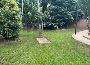 Best Lawn Mowing service in Bentley Park
