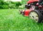 Best Garden Maintenance service in Greenbank