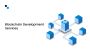 Custom Blockchain Development Company