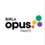 Enamel Paints for Metal and Walls - Birla Opus Colours