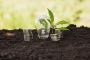 Unlock Savings with Energy Efficiency Grants for Homeowners!