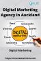 Digital Marketing Agency in Auckland