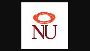  B.Tech in Artificial Intelligence | Career & Fee Guide | NU
