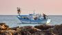 Boat Insurance Palm City FL