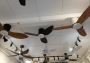 Ceiling Fan in Kembangan