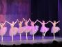 A Visionary in Motion: Donatella Delarosa’s Journey