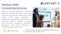 NetSuite WMS Consulting Services in USA 