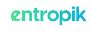 Top Usability Testing Tool - Entropik