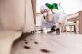 Envirotreat | Pest control service in Rockville MD