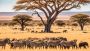 Tanzania Wildlife Safaris and Tours: Explore Nature’s Untame