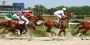 Ready for top-tier computer handicapped racing tech?