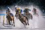 Looking for top-notch horse picks? 