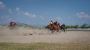 Handicap Horse Race