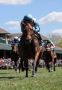 Keeneland Races Today