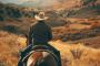 Roping Horses For Sale Roping Horses For Sale