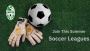 Summer's Hottest Recreational Soccer Leagues Await Your Skil