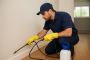 Pest Control in Northriding - JT Solution