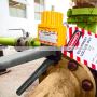  Industrial Valve Lockout Devices 