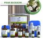 Purchase Anjour Pear Blossom Fragrance Natural in Bulk - Ess