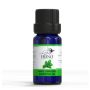 Buy Pure Basil Linalool Essential Oil - Essential Natural Oi