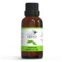 Shop Camphor Essential Natural Oil In USA