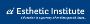 Esthetic Institute