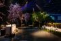 Event Planner Seattle