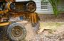 Stump Grinding and Removal in Calgary - Evergreen Ltd
