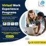 Virtual Work Experience Program - Evision Technoserve