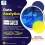 Data Analytics: Where Data Meets Business Impact - Evision T