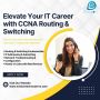 Elevate Your IT Career with CCNA Routing & Switching - Evisi