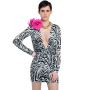 Zebra Mini Dress - eVogued