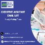 Target High-Level Professionals with the Executive Assistant