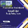 Executive Assistant Email List - Ready Mailing Teams