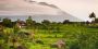 Buy Land in Bali with Confidence!