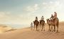 Explore the Wonders of the Desert with a Qatar Desert Tour –