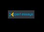 Custom Essay Writing Experts