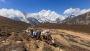 Tibet Travel Made Easy: Private Tours, Group Trips & Permit 
