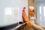 Trusted Cleaning Services in Sydney – Sparkle Guaranteed!