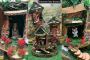 Buy Awesome Fairy House with Fairies and Lights