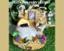 Buy Adorable Fairy House Wall Hanging!