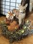 Adorable Woodland Animal Centerpieces for Magical Celebratio