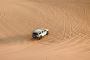 Desert Safaris & Abu Dhabi City Tours