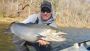 Steelhead Fishing in Lake Erie
