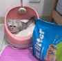 Eco-Friendly Monthly Cat Litter Box | EZ Litter