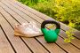 Holistic Wellness Events in Connecticut: Nurturing Mind, Bod